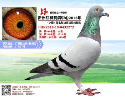 红枫小棚决赛23名
