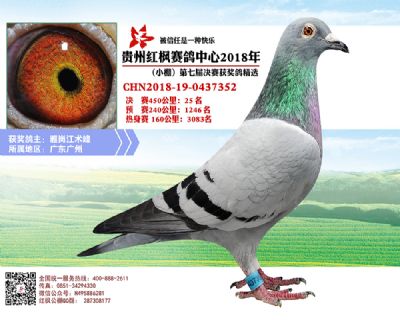 红枫小棚决赛25名
