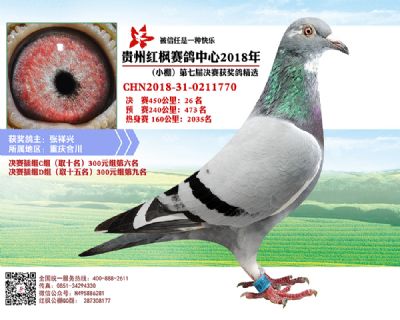 红枫小棚决赛26名