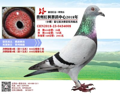 红枫小棚决赛28名