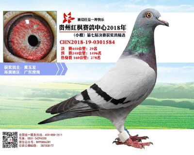 红枫小棚决赛29名