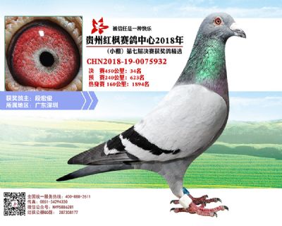 红枫小棚决赛34名