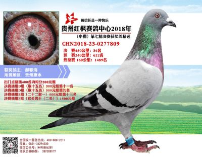 红枫小棚决赛36名