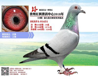 红枫小棚决赛39名