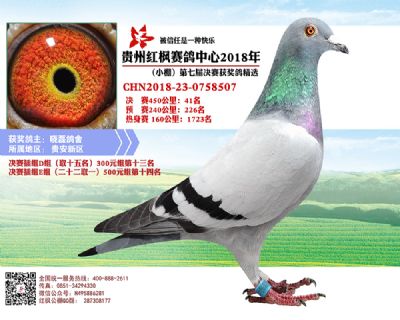 红枫小棚决赛41名