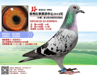 红枫小棚决赛43名