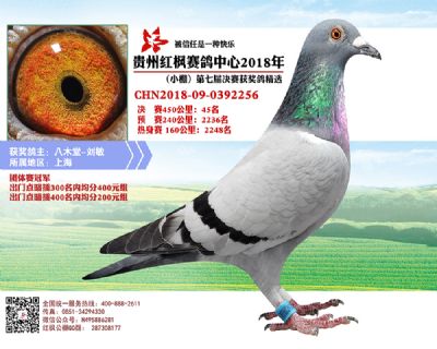 红枫小棚决赛45名