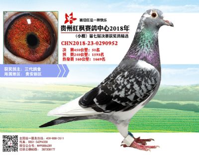 红枫小棚决赛50名