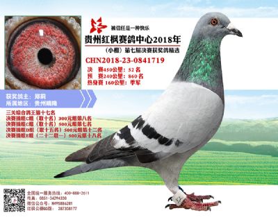 红枫小棚决赛52名