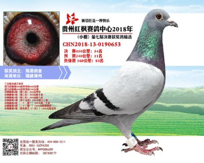 红枫小棚决赛54名