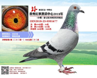 红枫小棚决赛58名