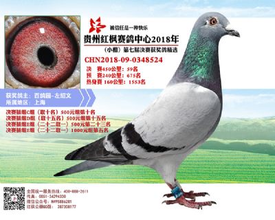 红枫小棚决赛59名