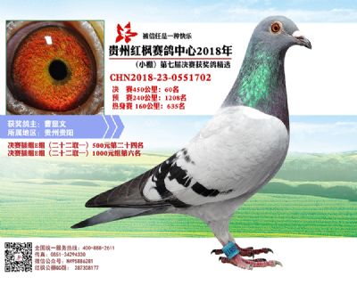 红枫小棚决赛60名