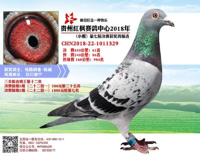 红枫小棚决赛61名