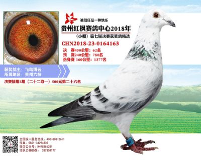 红枫小棚决赛62名