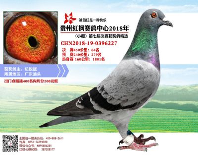 红枫小棚决赛64名