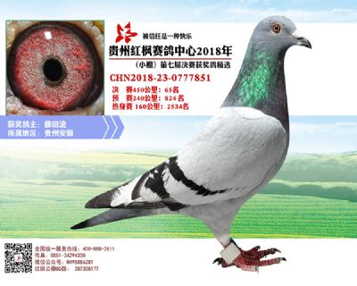 红枫小棚决赛65名