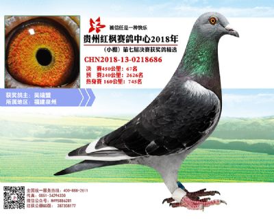 红枫小棚决赛67名