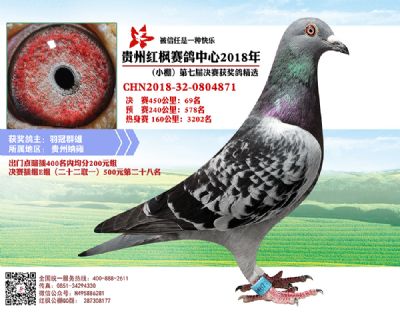 红枫小棚决赛69名
