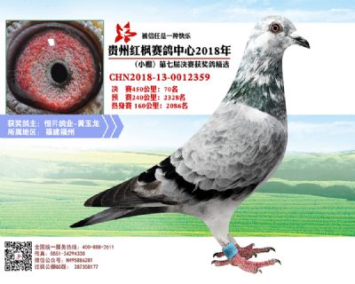红枫小棚决赛70名