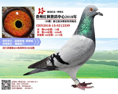 红枫小棚决赛73名