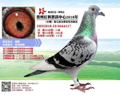 红枫小棚决赛75名