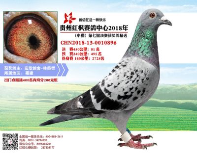 红枫小棚决赛81名