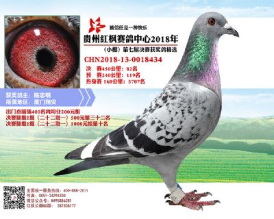红枫小棚决赛82名