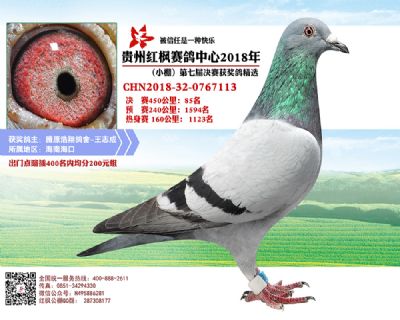 红枫小棚决赛85名