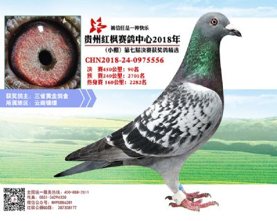 红枫小棚决赛90名