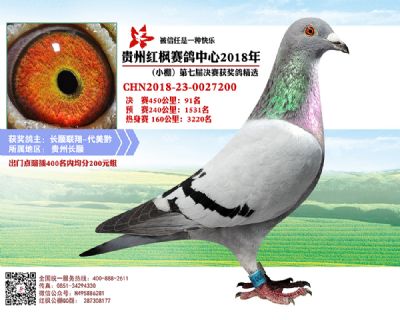 红枫小棚决赛91名