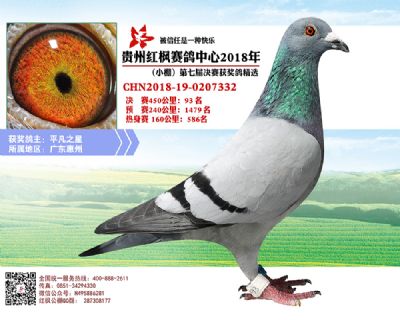 红枫小棚决赛93名
