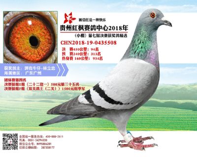红枫小棚决赛94名