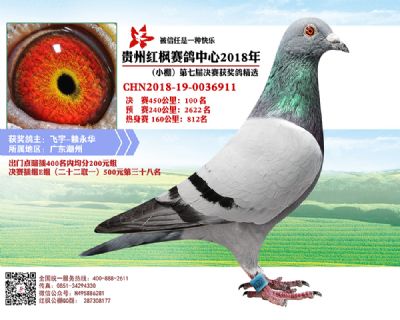 红枫小棚决赛100名