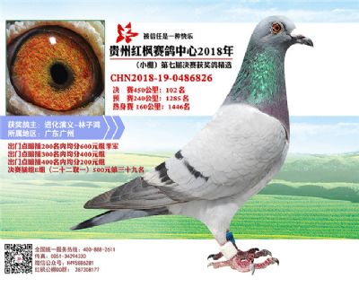 红枫小棚决赛102名