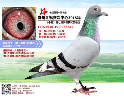 红枫小棚决赛104名