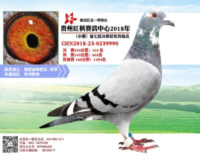 红枫小棚决赛105名