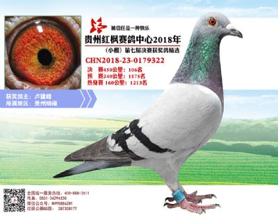 红枫小棚决赛106名
