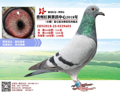 红枫小棚决赛110名
