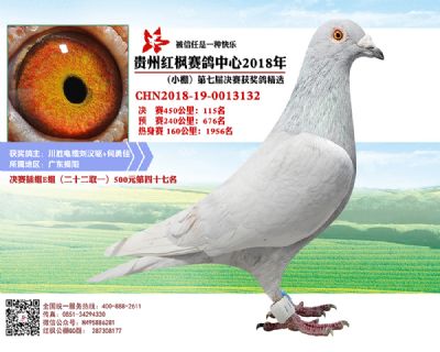 红枫小棚决赛115名