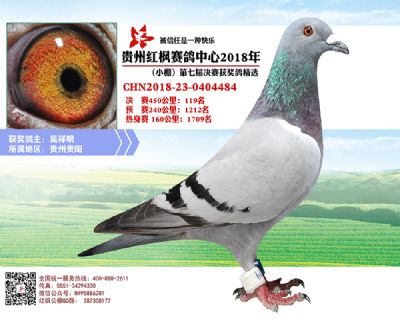 红枫小棚决赛119名