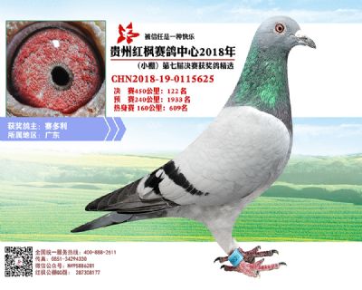 红枫小棚决赛122名