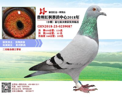 红枫小棚决赛124名