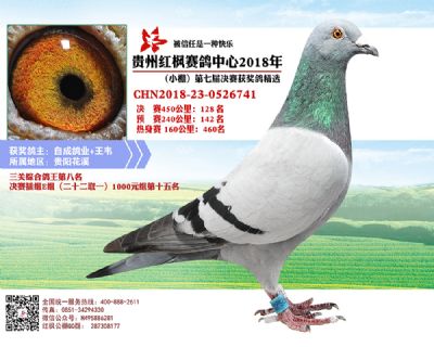 红枫小棚决赛128名