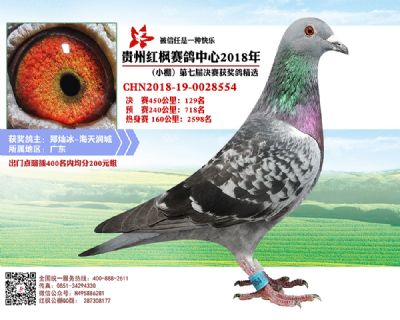 红枫小棚决赛129名