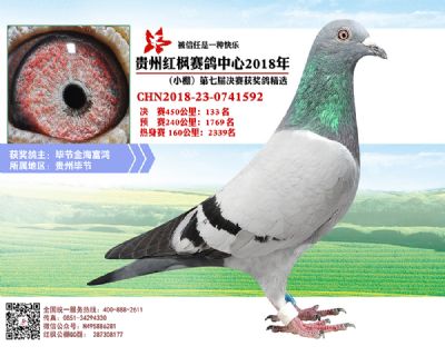 红枫小棚决赛133名