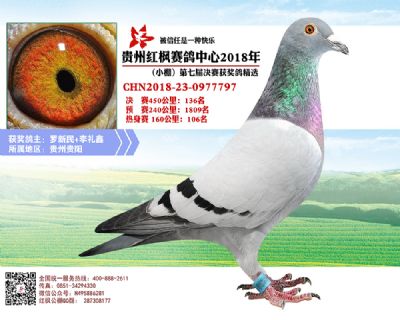 红枫小棚决赛136名