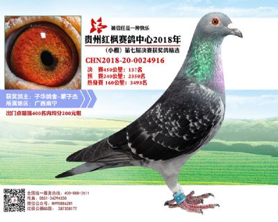 红枫小棚决赛137名