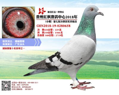 红枫小棚决赛139名