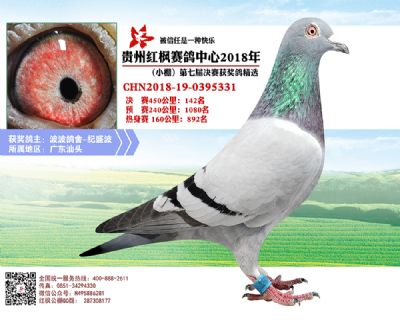 红枫小棚决赛142名